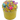 parakeet slimes original