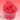 STRAWBB DAIQUIRI