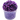 parakeet slimes