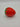 strawberry container