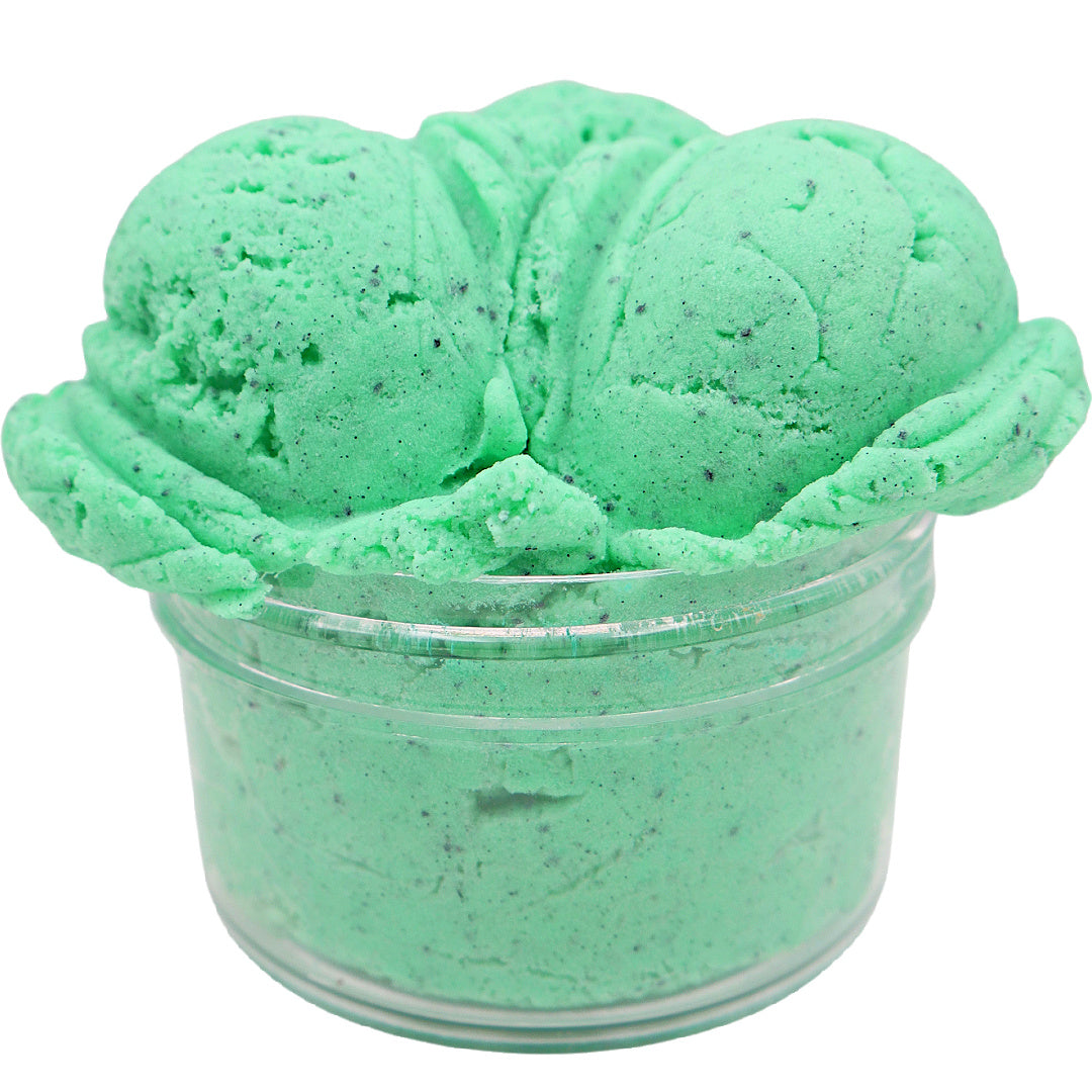 MINT CHOCOLATE CHIP ICE CREAM